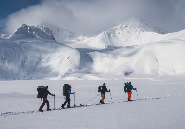 Classic Antarctica Cruise